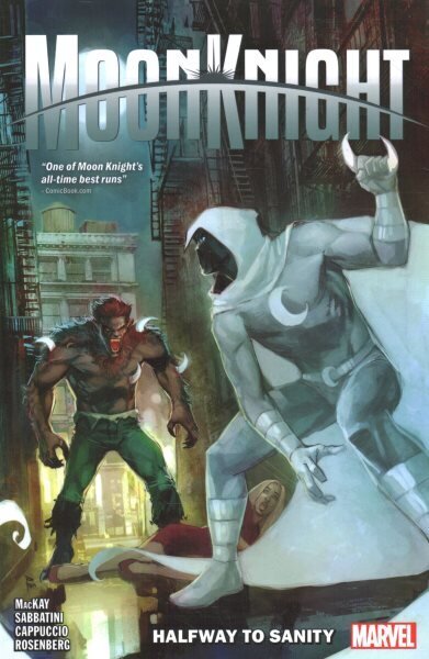 Moon Knight Vol. 3: Halfway to Sanity hind ja info | Fantaasia, müstika | kaup24.ee