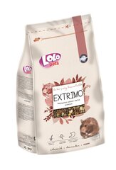 LoLo Pets Extrimo täissööt hamstritele 750g цена и информация | Корм для грызунов | kaup24.ee