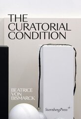 Curatorial Condition hind ja info | Kunstiraamatud | kaup24.ee