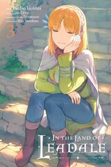 In the Land of Leadale, Vol. 3 (manga) hind ja info | Fantaasia, müstika | kaup24.ee