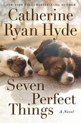 Seven Perfect Things: A Novel hind ja info | Fantaasia, müstika | kaup24.ee