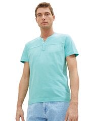 Мужская футболка Tom Tailor, бирюзового цвета цена и информация | Мужские футболки | kaup24.ee