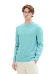 Мужской свитер Tom Tailor, синий цена и информация | Мужские свитера | kaup24.ee