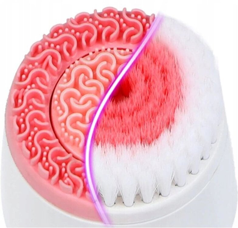 Sonic Spin Facial Brush Cnaier Face hind ja info | Näohooldusseadmed | kaup24.ee