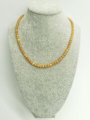 Янтарное ожерелье Ежевика цена и информация | Украшение на шею | kaup24.ee