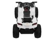 Elektri quad ATV 12v, valge hind ja info | Laste elektriautod | kaup24.ee