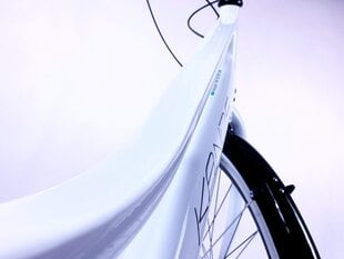 Naiste jalgratas Kands Galileo, 167-185 cm pikk, 28" alumiiniumveljed, Shimano, Valge hind ja info | Jalgrattad | kaup24.ee