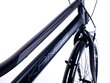 Naiste jalgratas Kands Galileo, 150-167 cm, 28", Shimano, must цена и информация | Jalgrattad | kaup24.ee