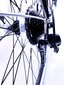 Naiste jalgratas Kands Galileo, 150-167 cm pikk, 28" alumiiniumveljed, Shimano, hall hind ja info | Jalgrattad | kaup24.ee