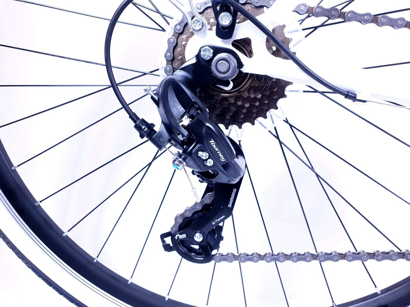 Naiste jalgratas Kands Galileo, 167-185 cm pikk, 28" alumiiniumveljed, Shimano, hall hind ja info | Jalgrattad | kaup24.ee