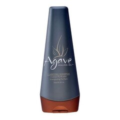 Agave Moisturizing Shampoo Healing Oil Agave (250 ml) hind ja info | Šampoonid | kaup24.ee