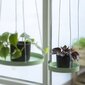 Esschert Design pakabinamas padėklas augalams hind ja info | Vaasid, alused, redelid lilledele | kaup24.ee