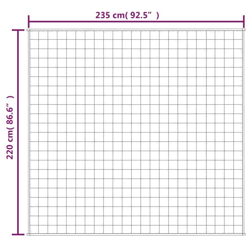 vidaXL raskustekk sinine 220x235 cm 15 kg kangas hind ja info | Tekid | kaup24.ee