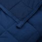 vidaXL raskustekk sinine 200x230 cm 13 kg kangas hind ja info | Tekid | kaup24.ee