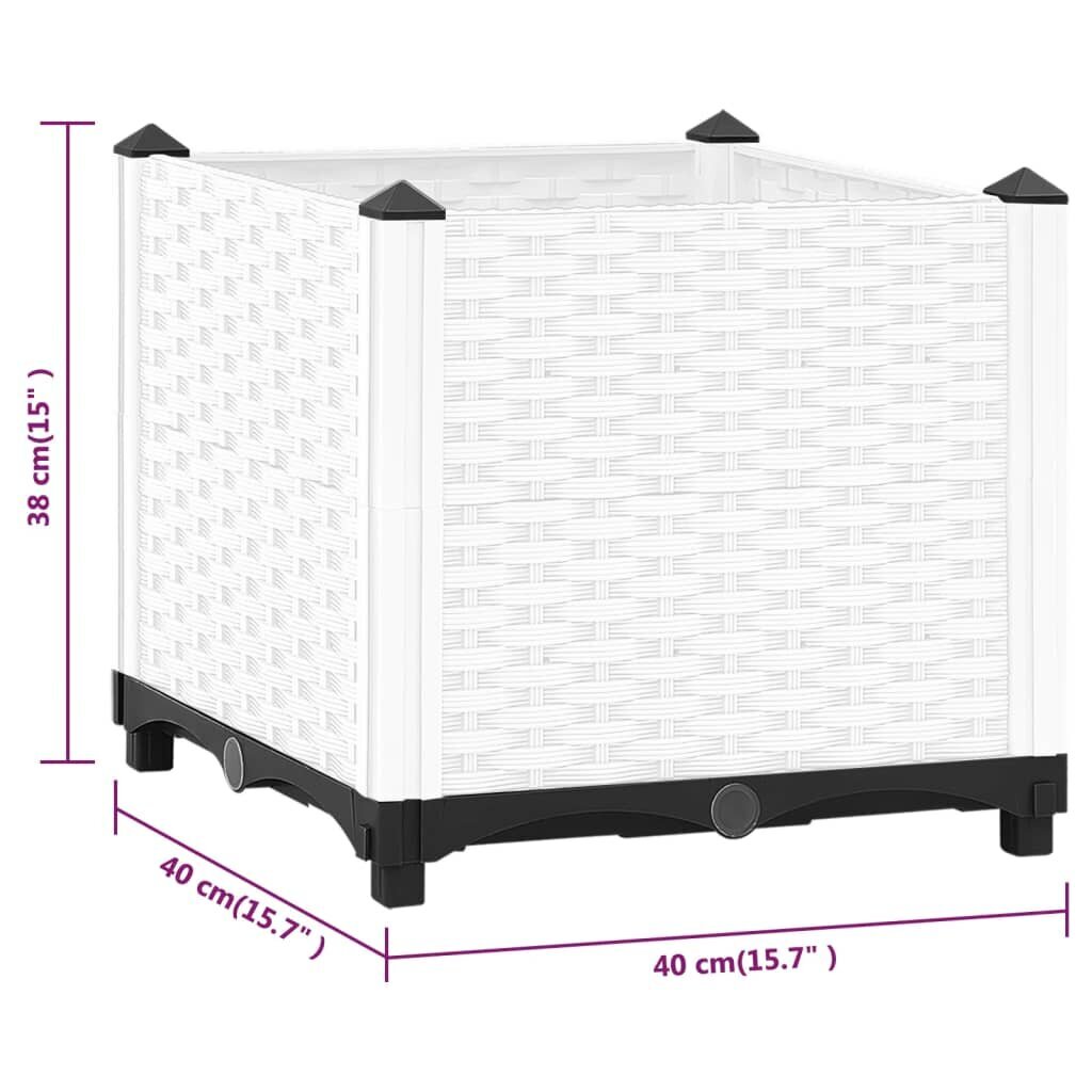 vidaXL taimelava, 40 x 40 x 38 cm, polüpropüleen hind ja info | Istutus- ja turbapotid | kaup24.ee