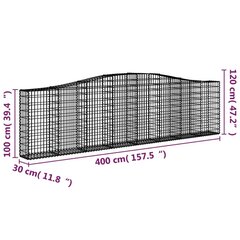 vidaXL kaarekujulised gabioonkorvid 20 tk, 400x30x100/120 cm, raud hind ja info | Aiad ja tarvikud | kaup24.ee