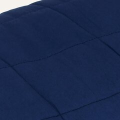 vidaXL raskustekk sinine 220x230 cm 15 kg kangas hind ja info | Tekid | kaup24.ee