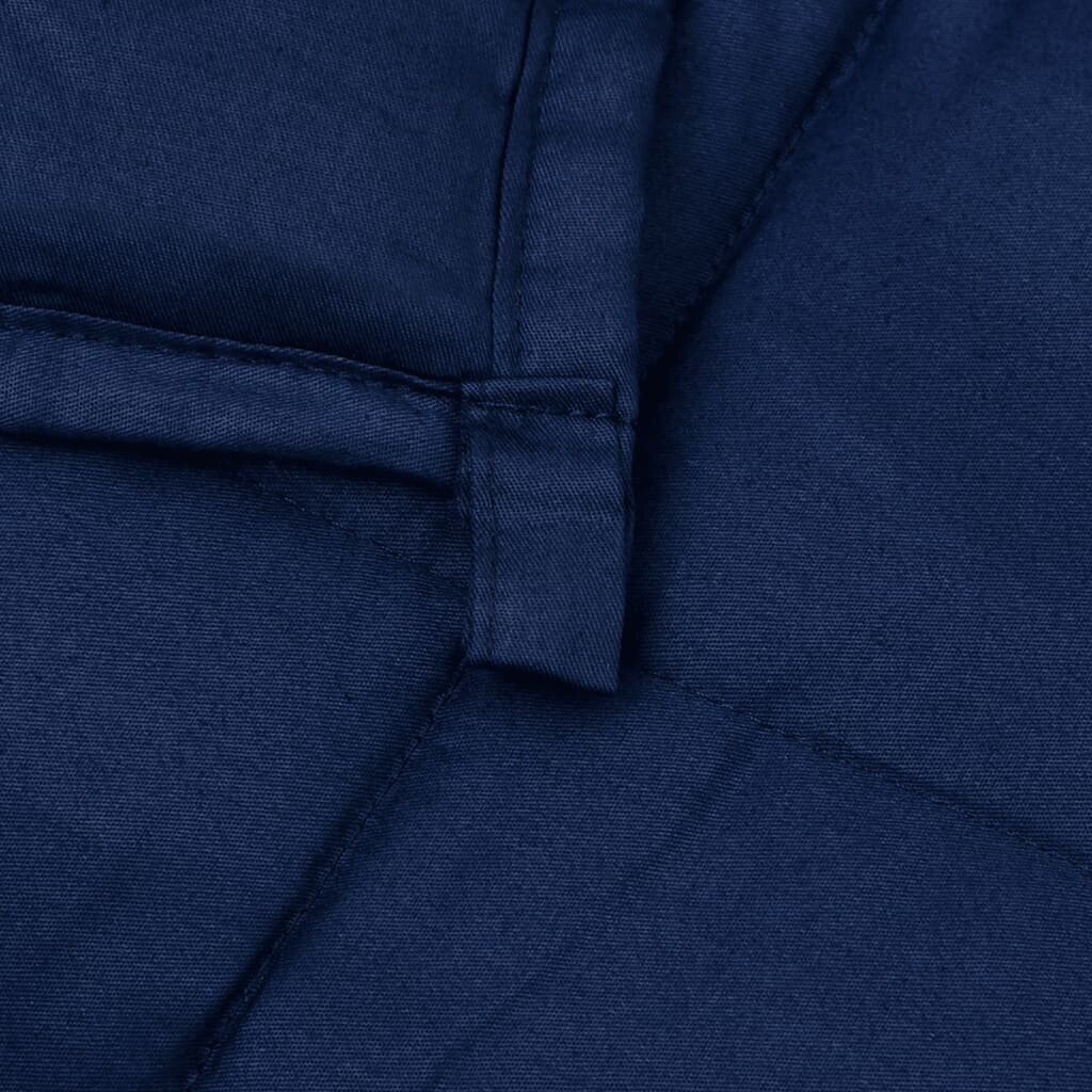 vidaXL raskustekk sinine 200x220 cm 9 kg kangas hind ja info | Tekid | kaup24.ee