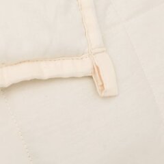 Одеяло с гипоаллергенным наполнителем, Hipo blue 140x200 см цена и информация | Одеяла | kaup24.ee