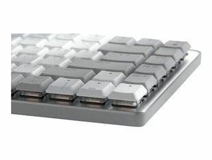 Беспроводная клавиатура Logitech MX Mechanical Mini Английский EEUU Белый QWERTY цена и информация | Клавиатуры | kaup24.ee