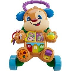 Fisher Price FRC93 цена и информация | Drewniana Wieża Piramida Kura Nakładanie Kolorowych Kwadratów LD-15 15276 | kaup24.ee