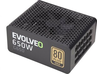 Evolveo G650 650Вт цена и информация | Материнские платы (PSU) | kaup24.ee