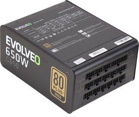 Evolveo G650 650Вт цена и информация | Материнские платы (PSU) | kaup24.ee