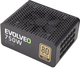 Evolveo G750 750Вт (E-G750R) цена и информация | Материнские платы (PSU) | kaup24.ee