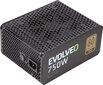 Evolveo G750 750W hind ja info | Toiteplokid (PSU) | kaup24.ee