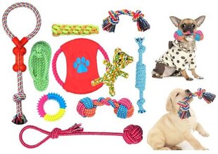 Набор игрушек для собак, 10 шт. цена и информация | Игрушки для собак | kaup24.ee