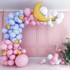 Набор воздушных шаров Macaron Rose Theme (117 шт.). цена и информация | Воздушные шары | kaup24.ee