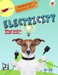 Electricity: Stickmen Science Stars цена и информация | Книги для подростков и молодежи | kaup24.ee