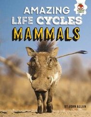 Mammals - Amazing Life Cycles цена и информация | Книги для подростков и молодежи | kaup24.ee