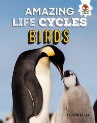 Birds - Amazing Life Cycles hind ja info | Noortekirjandus | kaup24.ee