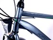 Meeste jalgratas Kands Galileo, 182-200 cm pikk, 28" alumiiniumveljed, Shimano, Grafiit цена и информация | Jalgrattad | kaup24.ee