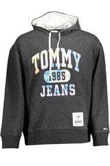 Джемпер мужской Tommy Hilfiger цена и информация | Мужские толстовки | kaup24.ee