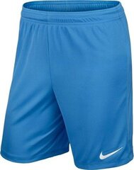 Lühikesed püksid Nike Park, sinine hind ja info | Jalgpalli varustus ja riided | kaup24.ee