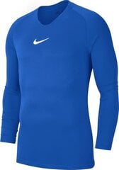 Свитер Nike JR Dry Park, синий цена и информация | Футбольная форма и другие товары | kaup24.ee