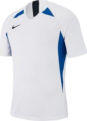 Футболка Nike, белая цена и информация | Футбольная форма и другие товары | kaup24.ee
