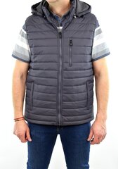 Meeste vest T&M 2301, hall hind ja info | Meeste vestid | kaup24.ee