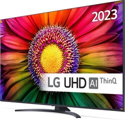 LG 55UR81006LJ.AEU цена и информация | Телевизоры | kaup24.ee