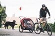 Hamax jalgrattakäru / lapsevanker Outback, 2 istet (punane/must) hind ja info | Jalgrattakärud | kaup24.ee