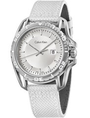 Meeste käekell Calvin Klein Earth Leather / Nylon Silver цена и информация | Мужские часы | kaup24.ee