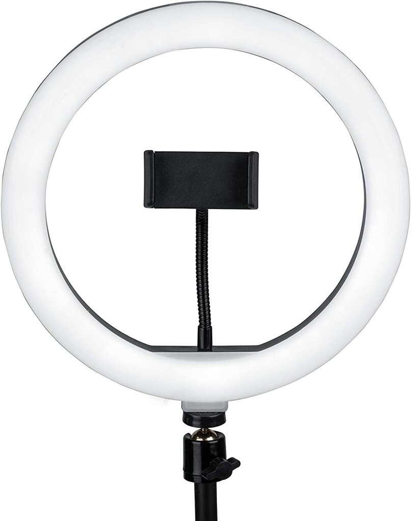 LED rõngaslamp 26cm, koos alusega 25-140 cm hind ja info | Fotovalgustuse seadmed | kaup24.ee