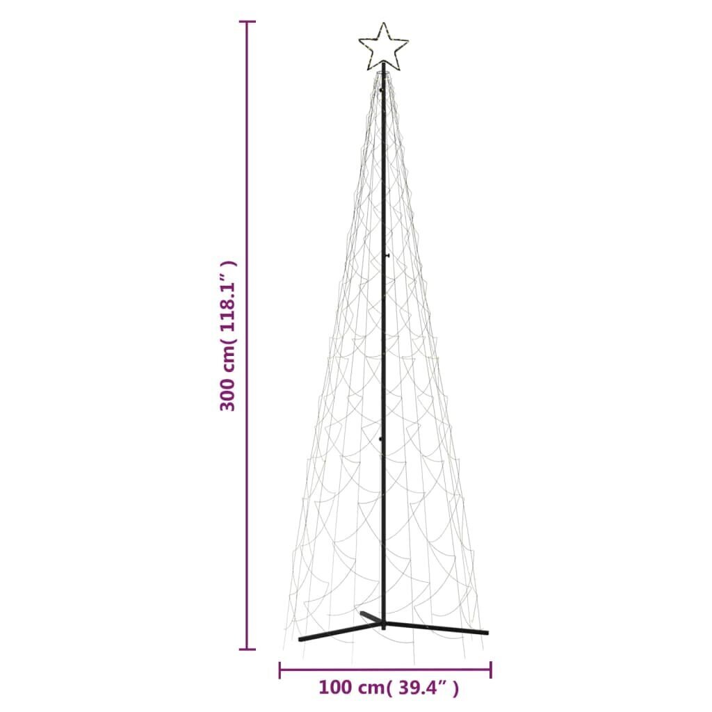 vidaXL jõulutuled, soe valge, 500 LEDi, 100 x 300 cm цена и информация | Jõulutuled | kaup24.ee