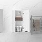 vidaXL seinale kinnitatav vannitoakapp, valge, 32 x 20 x 67 cm hind ja info | Vannitoakapid | kaup24.ee