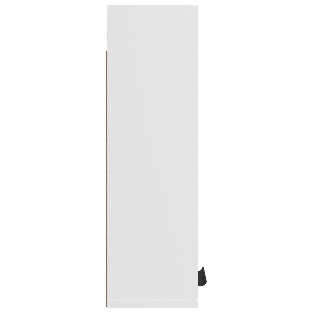 vidaXL seinale kinnitatav vannitoakapp, valge, 32 x 20 x 67 cm hind ja info | Vannitoakapid | kaup24.ee