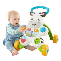 Машинка-каталка Mattel Зебра, белая (1+ год) цена и информация | Игрушки для малышей | kaup24.ee