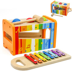 Деревянный ксилофон, 2в1 цена и информация | Развивающие игрушки | kaup24.ee