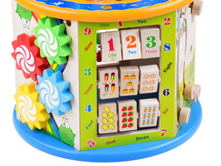 Развивающий деревянный кубик, 8 в 1 цена и информация | Развивающие игрушки и игры | kaup24.ee